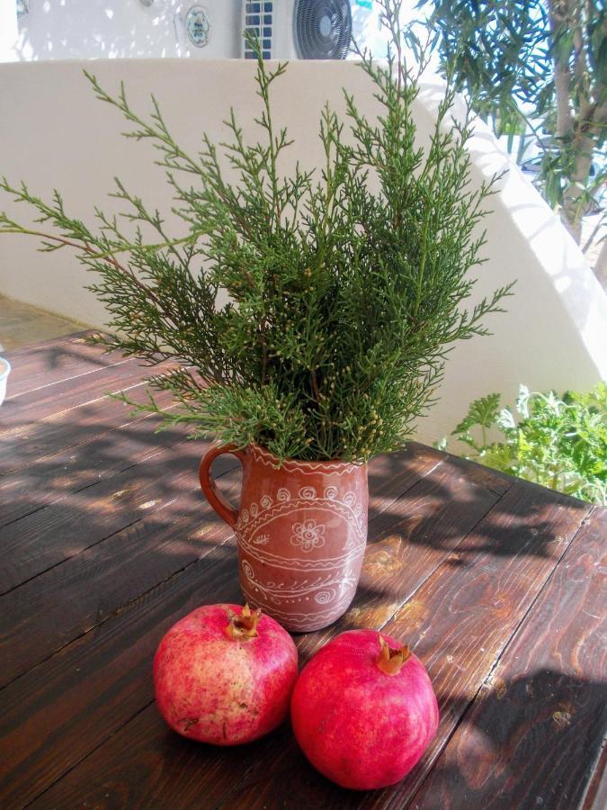 Nyfes Traditional Boutique Frosyni Skyros Exterior photo