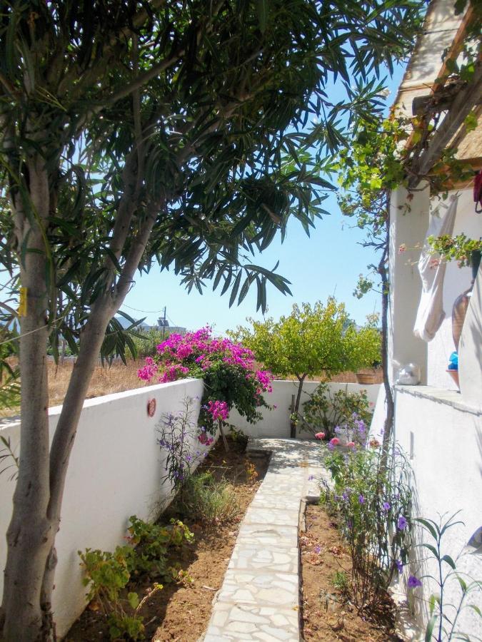Nyfes Traditional Boutique Frosyni Skyros Exterior photo