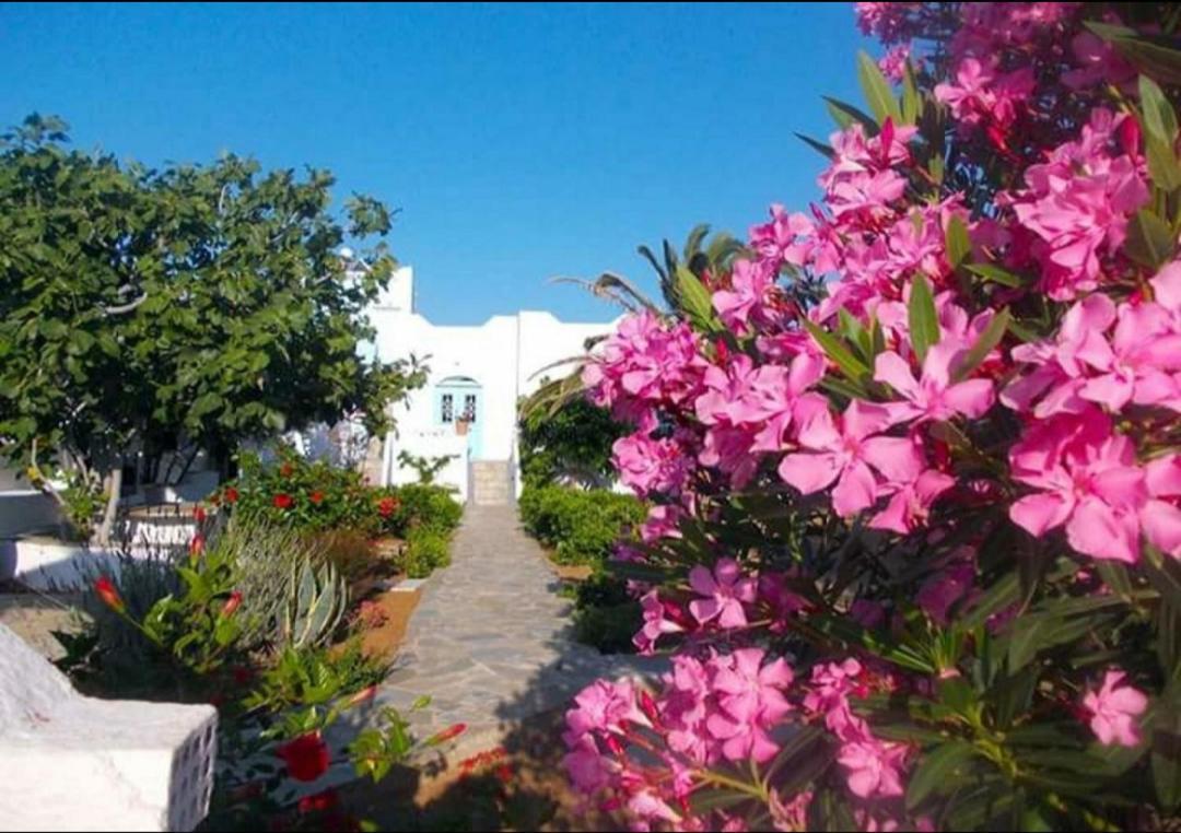 Nyfes Traditional Boutique Frosyni Skyros Exterior photo